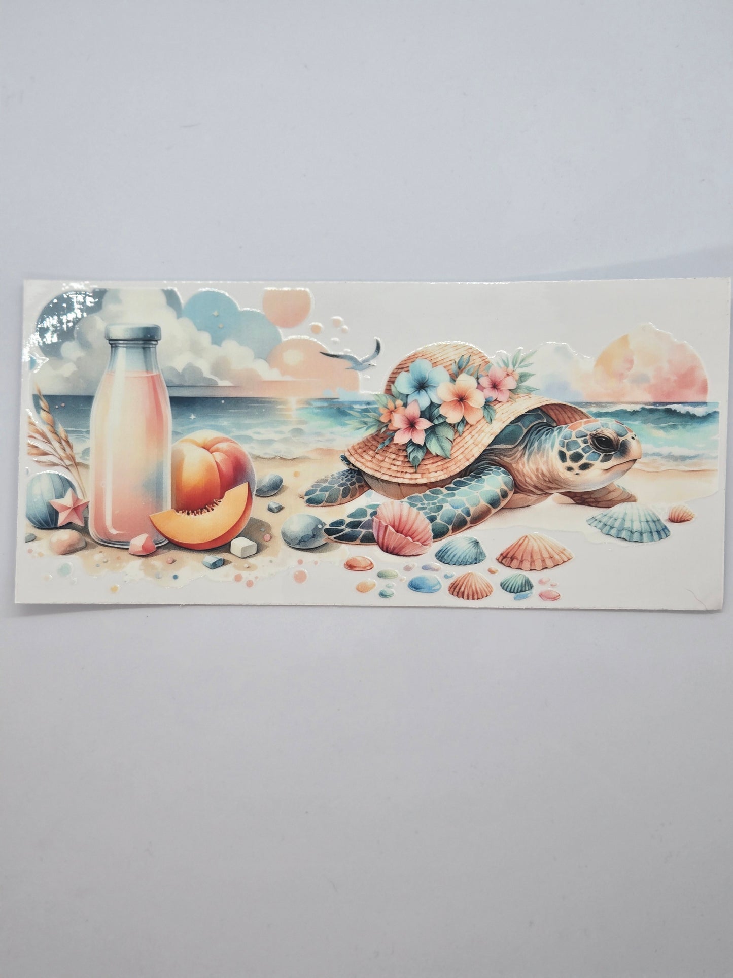 Pastel Turtle