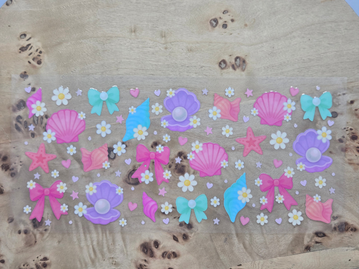 Pastel Shells