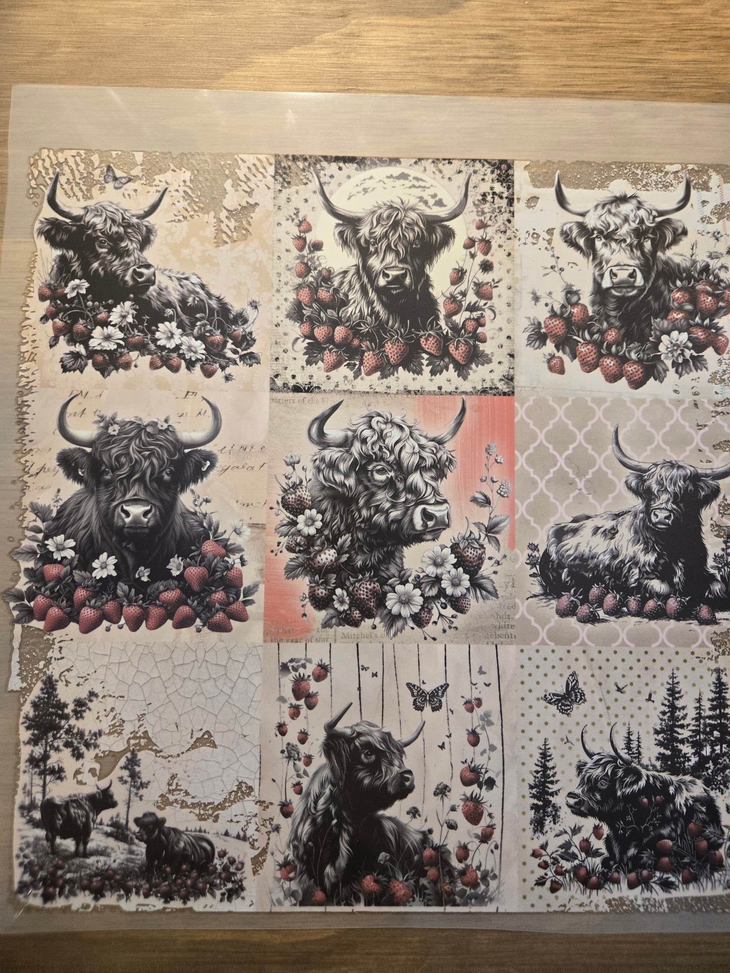 Cow Collage