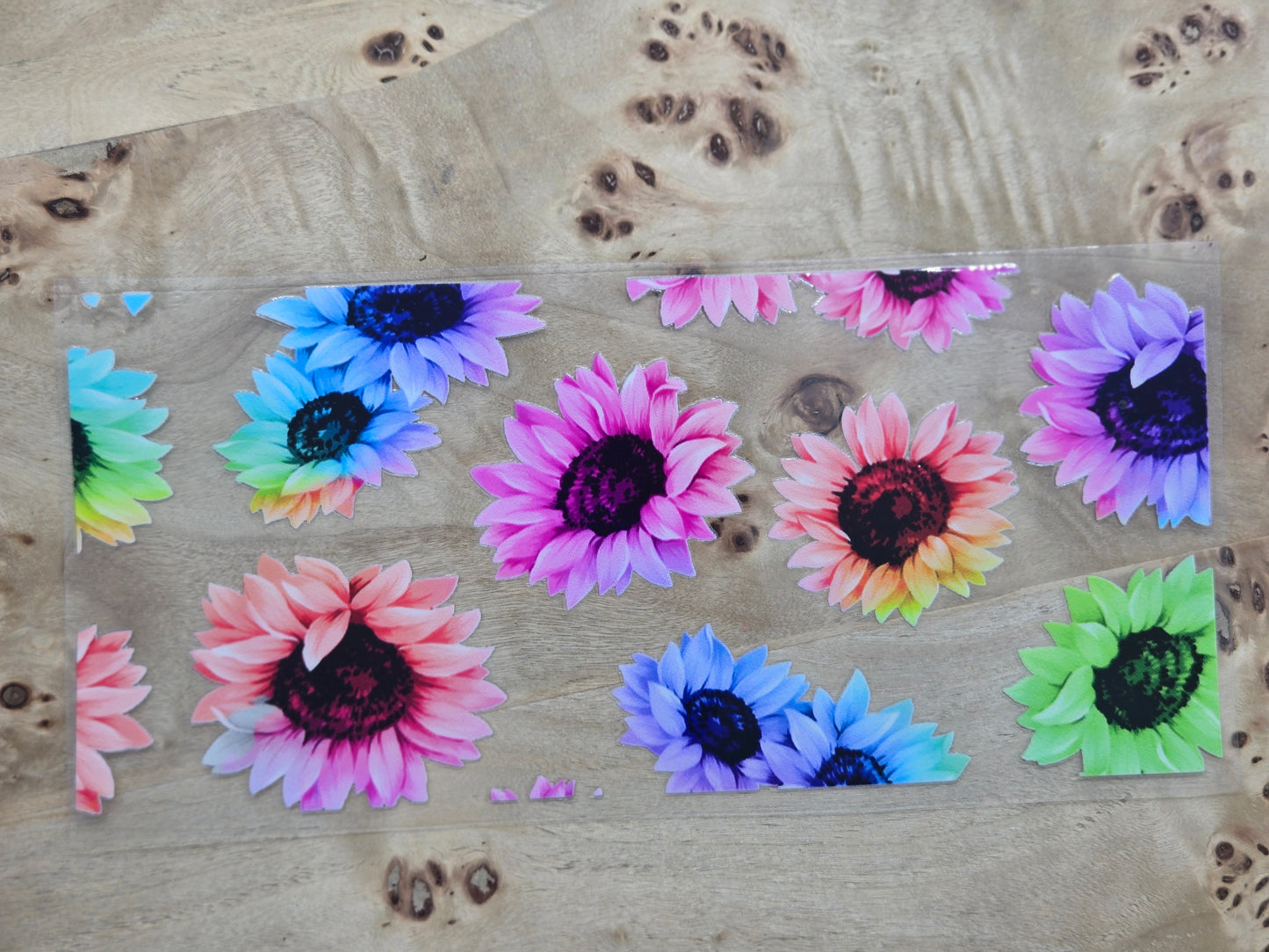 Rainbow Flowers