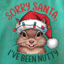 Sorry Santa