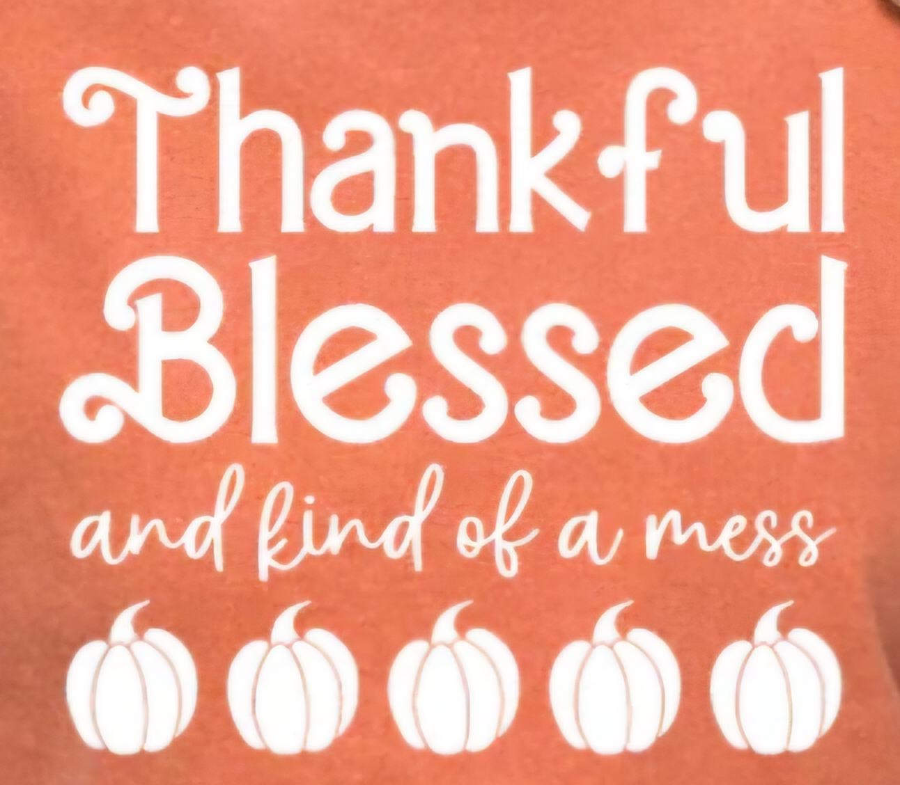 Thankful Blessed a Mess