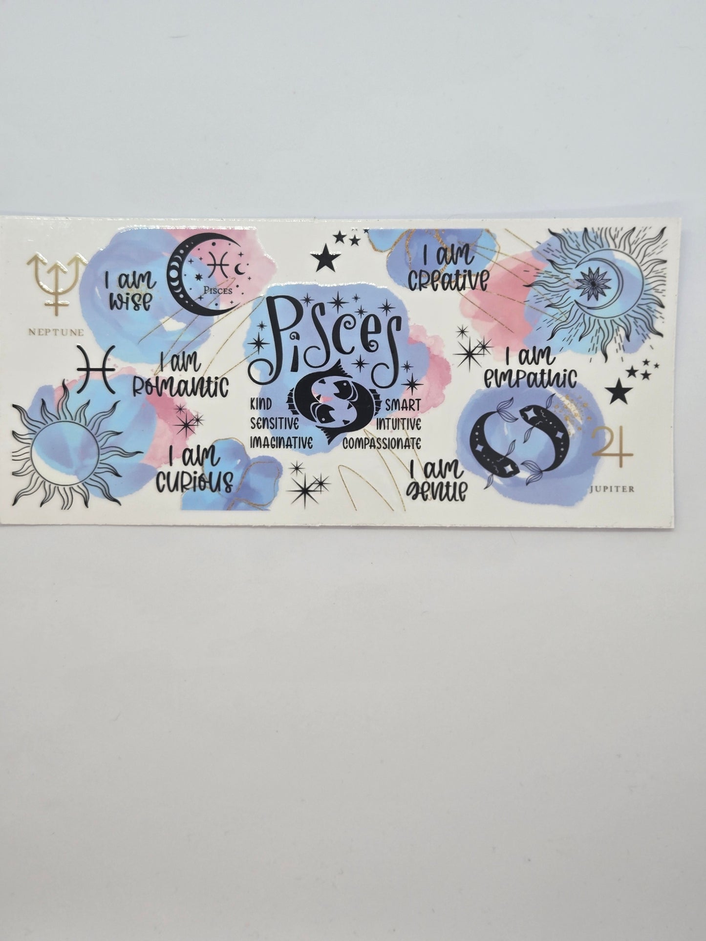 Zodiac (Blue / Pink)