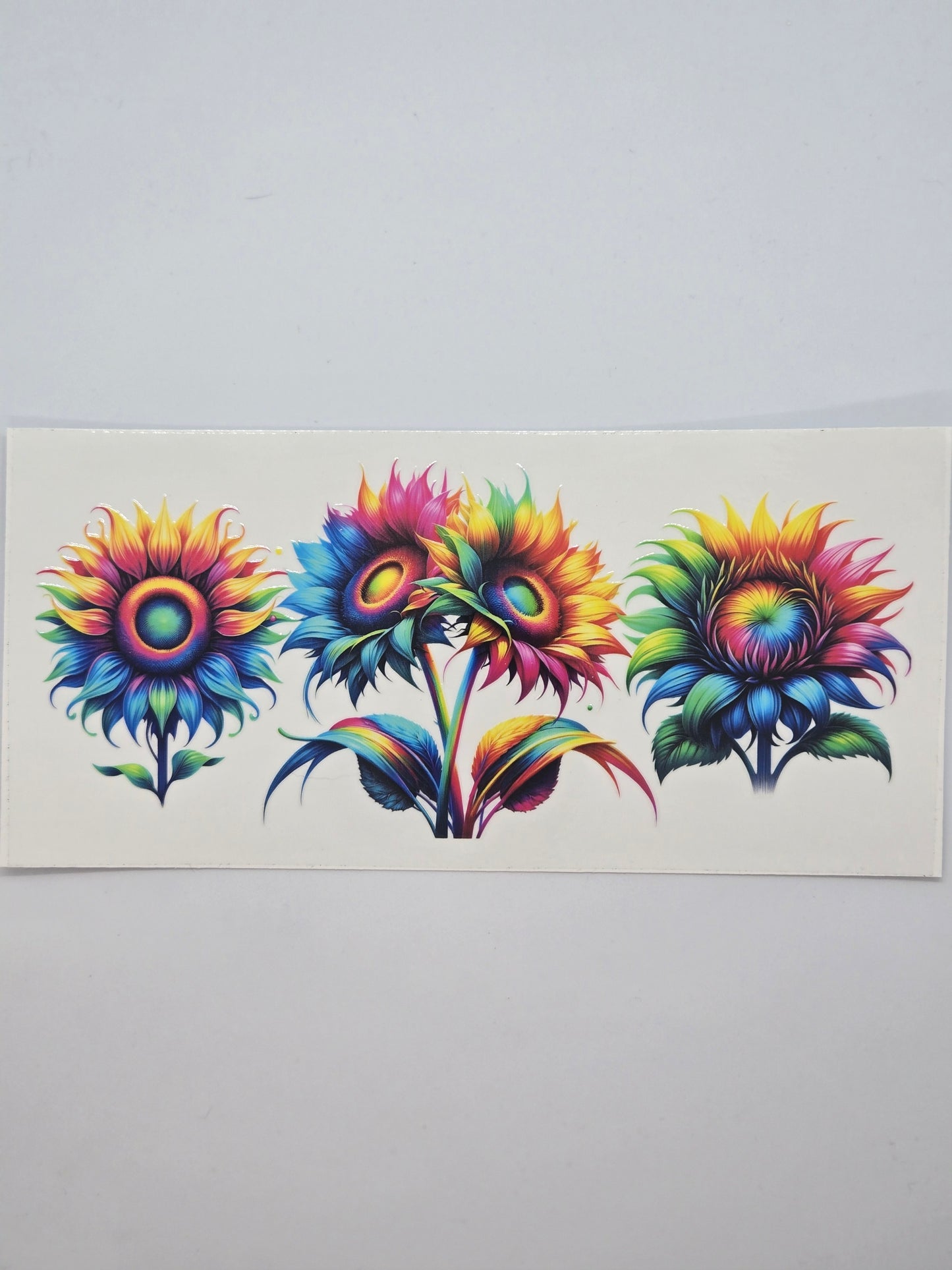 Rainbow Sunflower