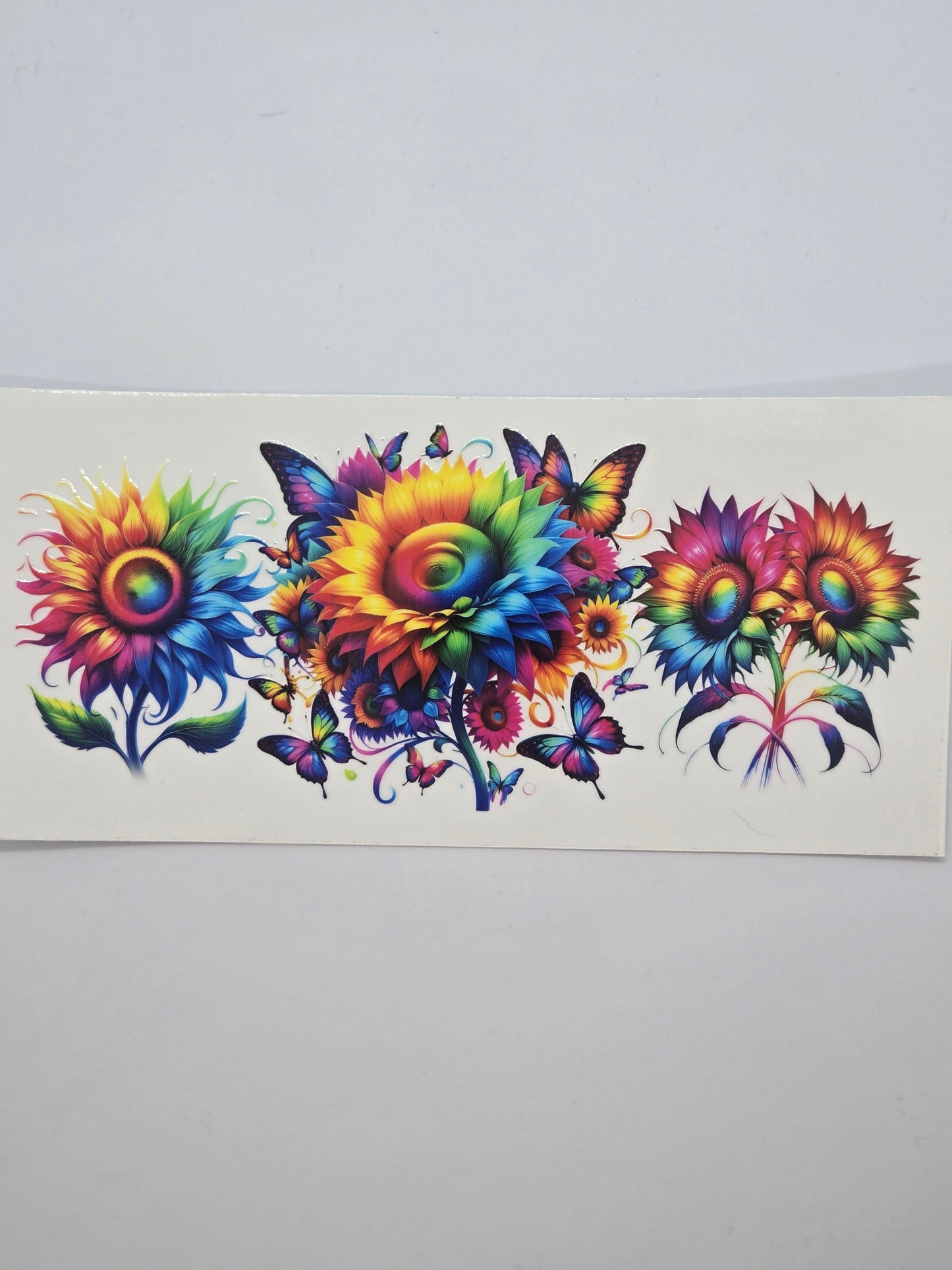 Rainbow Sunflower