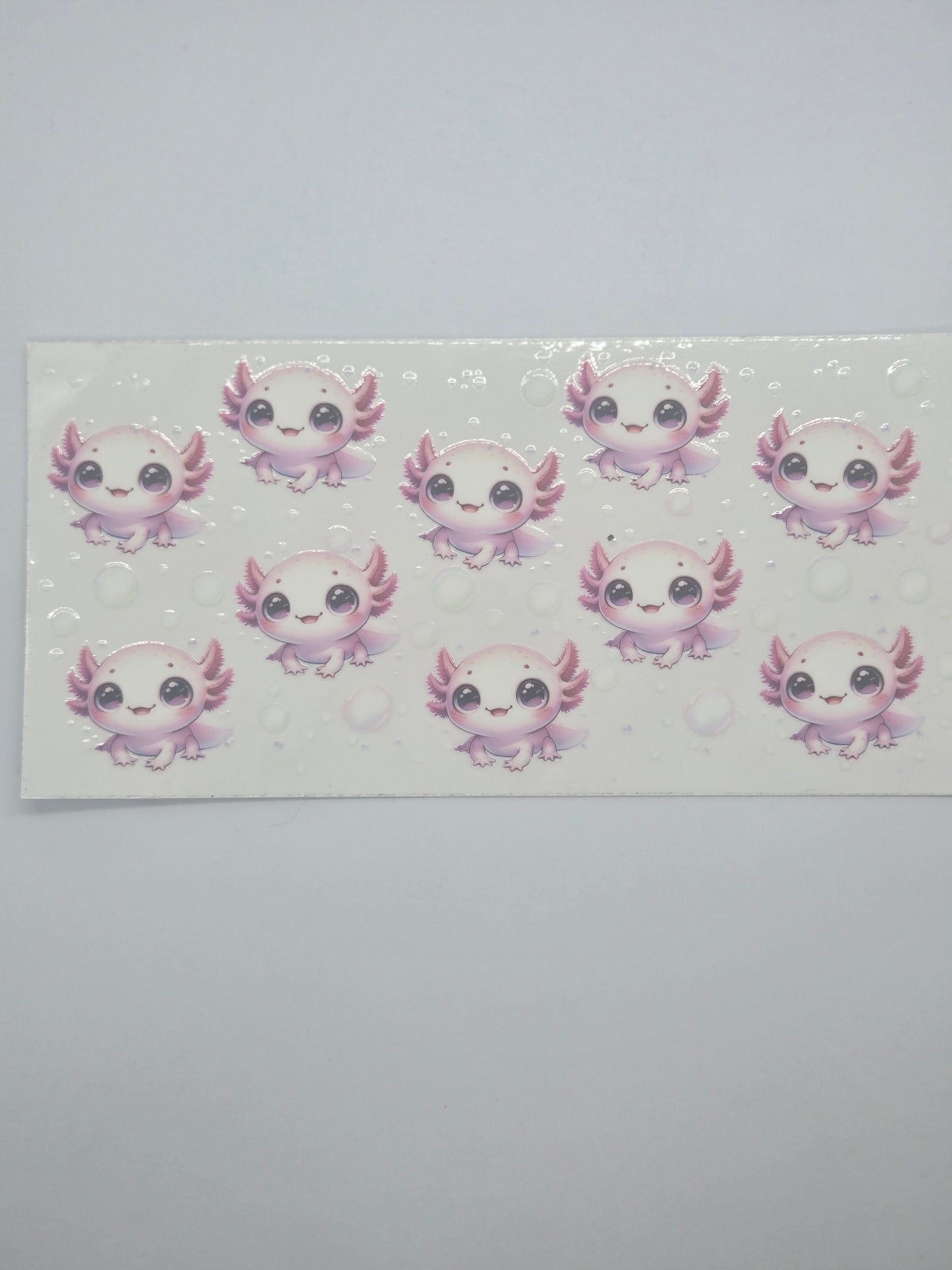 Axolotl