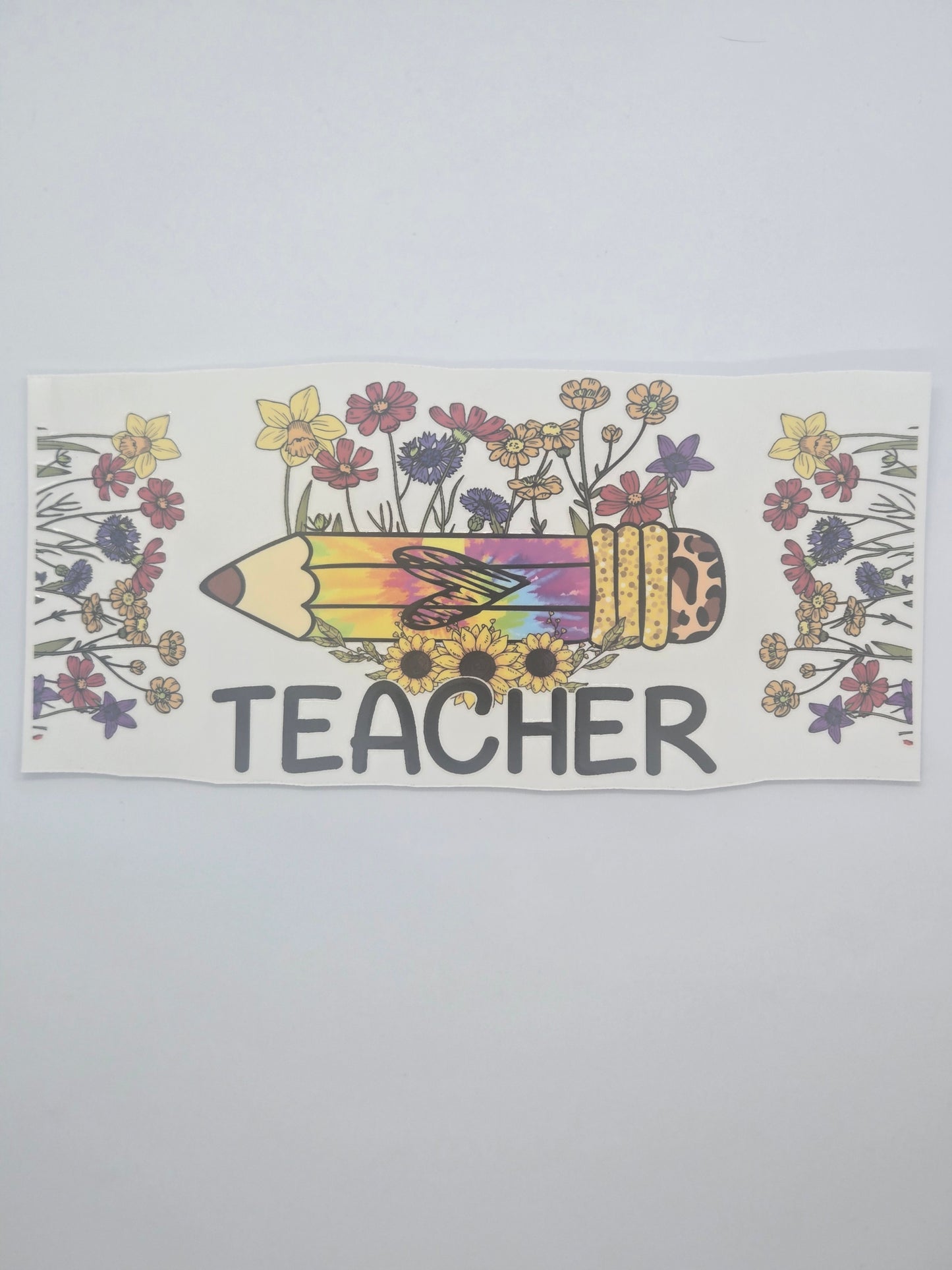 Teacher/Teacher Assistant