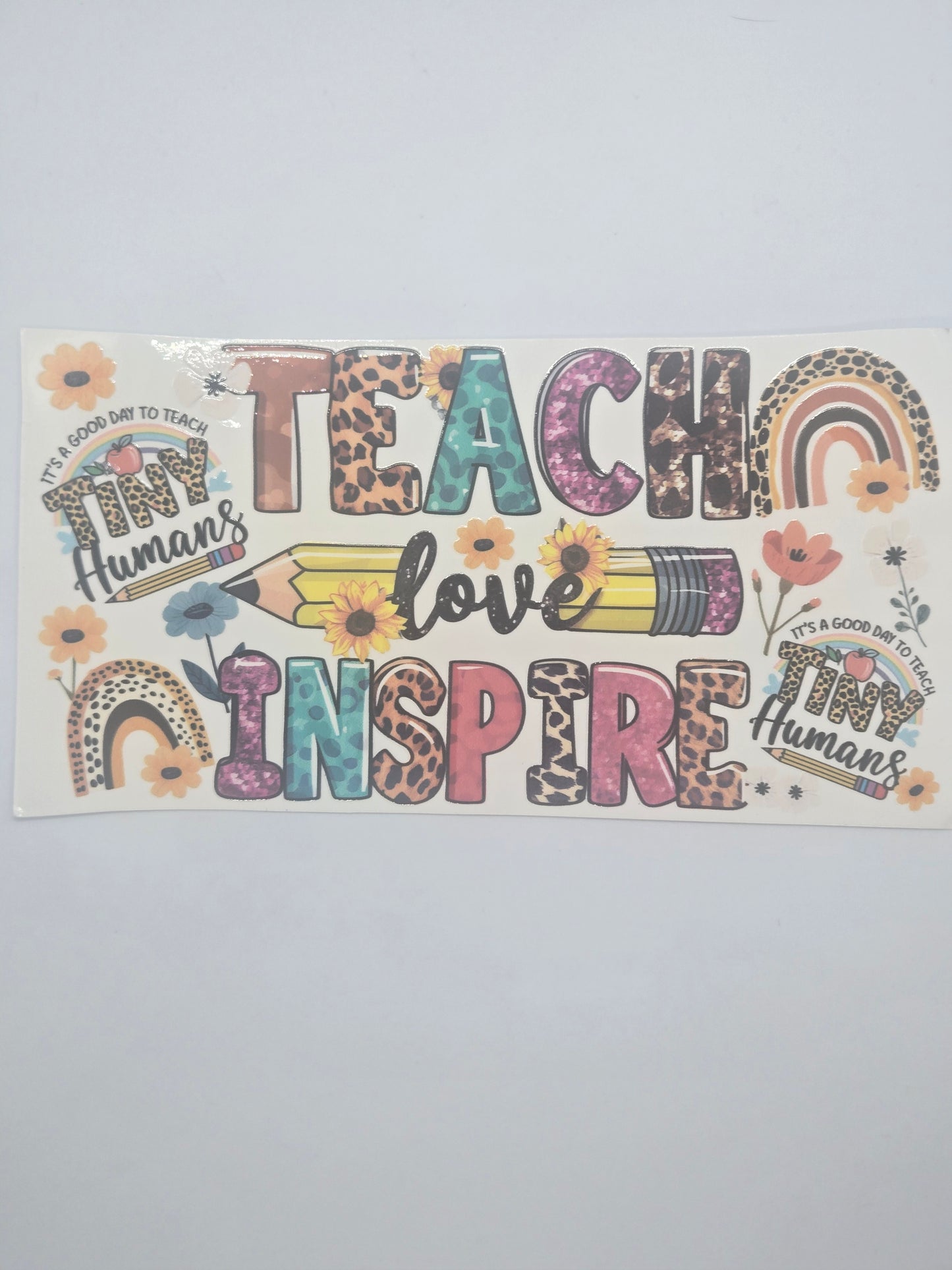 Teacher/Teacher Assistant