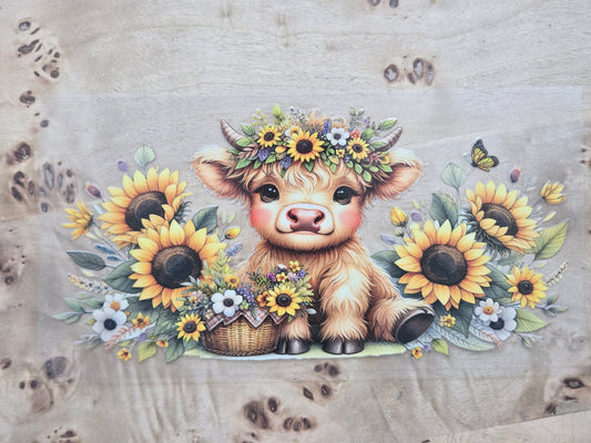 Sunflower Cow