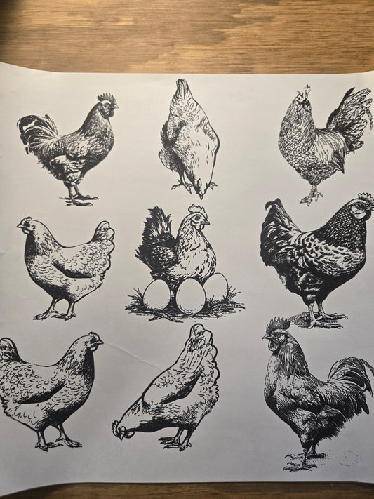 Chicken or Egg