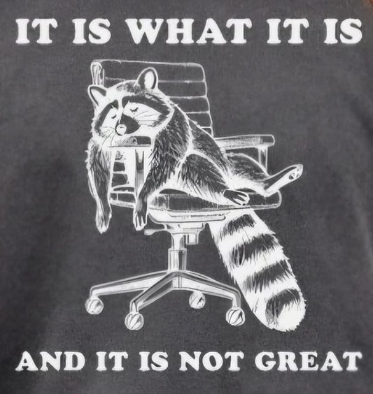 It is what it is